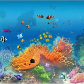 Adesivos para paredes, pisos e piscinas