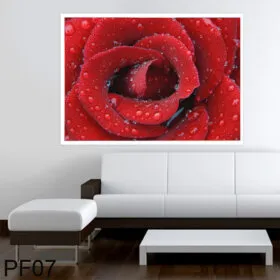 Adesivos Painéis para Paredes